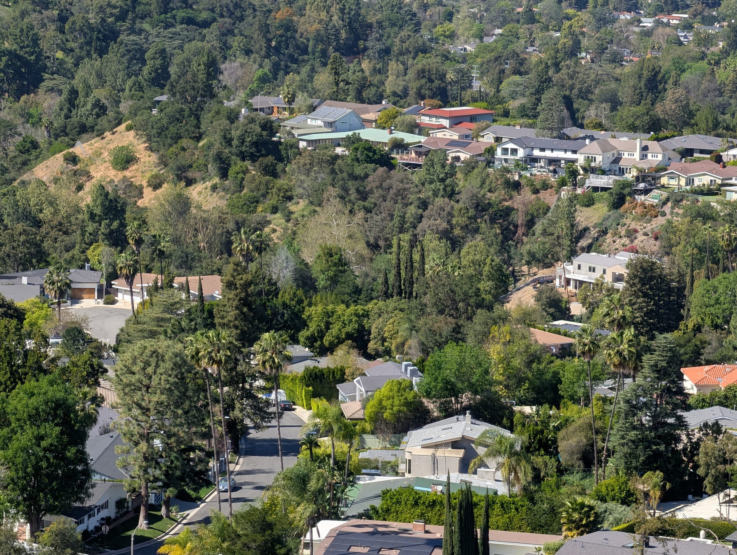 Aerial view over the hillside homes and tree-lined streets of the Doña streets in Laurelwood, Studio City.